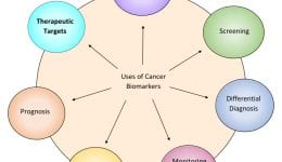 Cancer Biomarkers Usage Cancer Biomarkers Usage