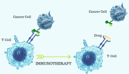 Cancer Immunotherapy India Positive Bioscience