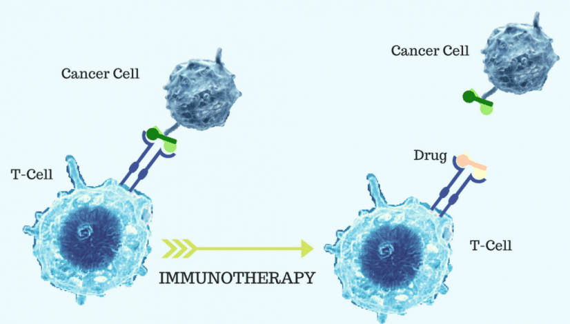 Cancer Immunotherapy India Positive Bioscience