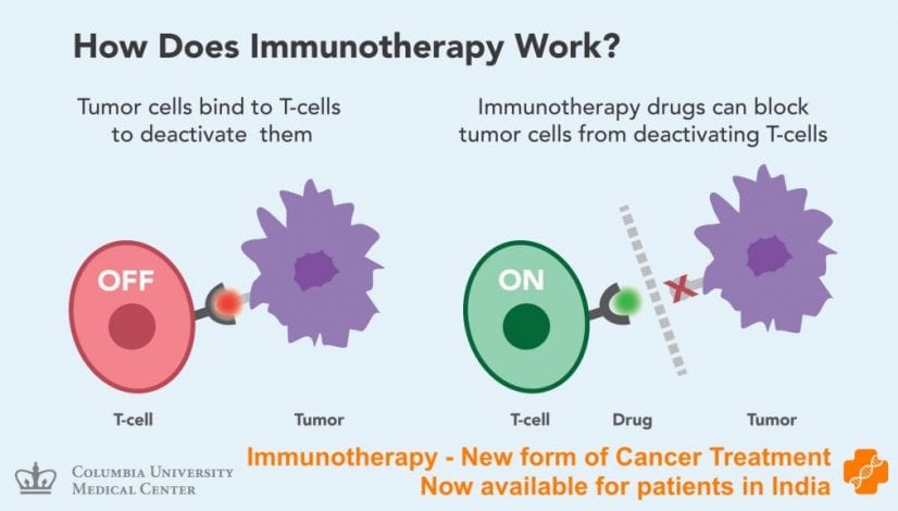 Immunotherapy in India Cancer treatment Positive Bioscience