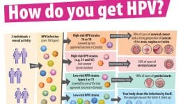 HPV Cervical Cancer India HPV Cervical Cancer India