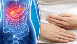 PARP Inhibitors Pancreatic Cancer