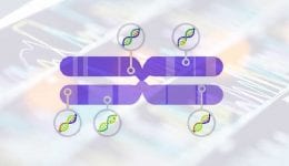 Immunotherapy for Lung Cancer