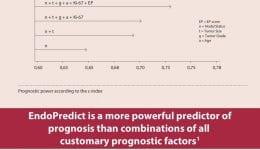 How EndoPredict Calculates Risk How EndoPredict Calculates Risk