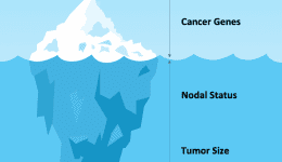 Breast cancer nodal status