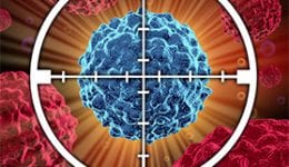 Targeted therapy for Cancer Targeted therapy for Cancer Today