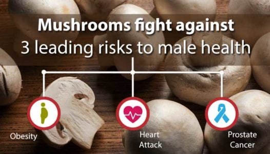 Mushrooms: Alternative Treatment for Advanced Prostate Cancer