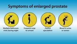 What is Prostate