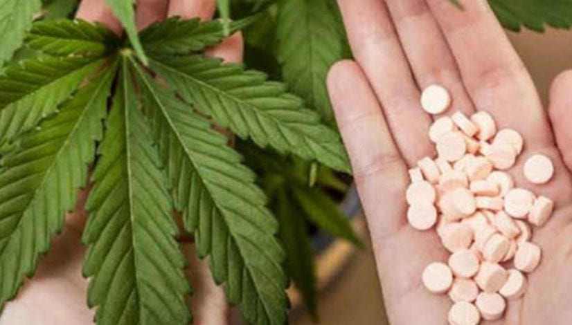 Cannabis for Cancer pain