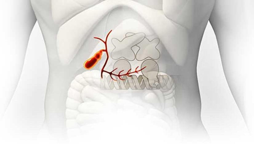 Biological Pathways Involved In Cholangiocarcinoma